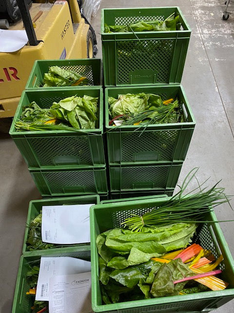 Groentepakket